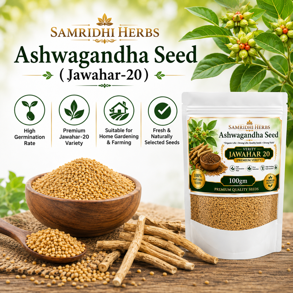 Ashwagandha Seeds Organic - Variety Jawahar