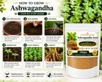 Ashwagandha Seeds Organic - Variety Jawahar