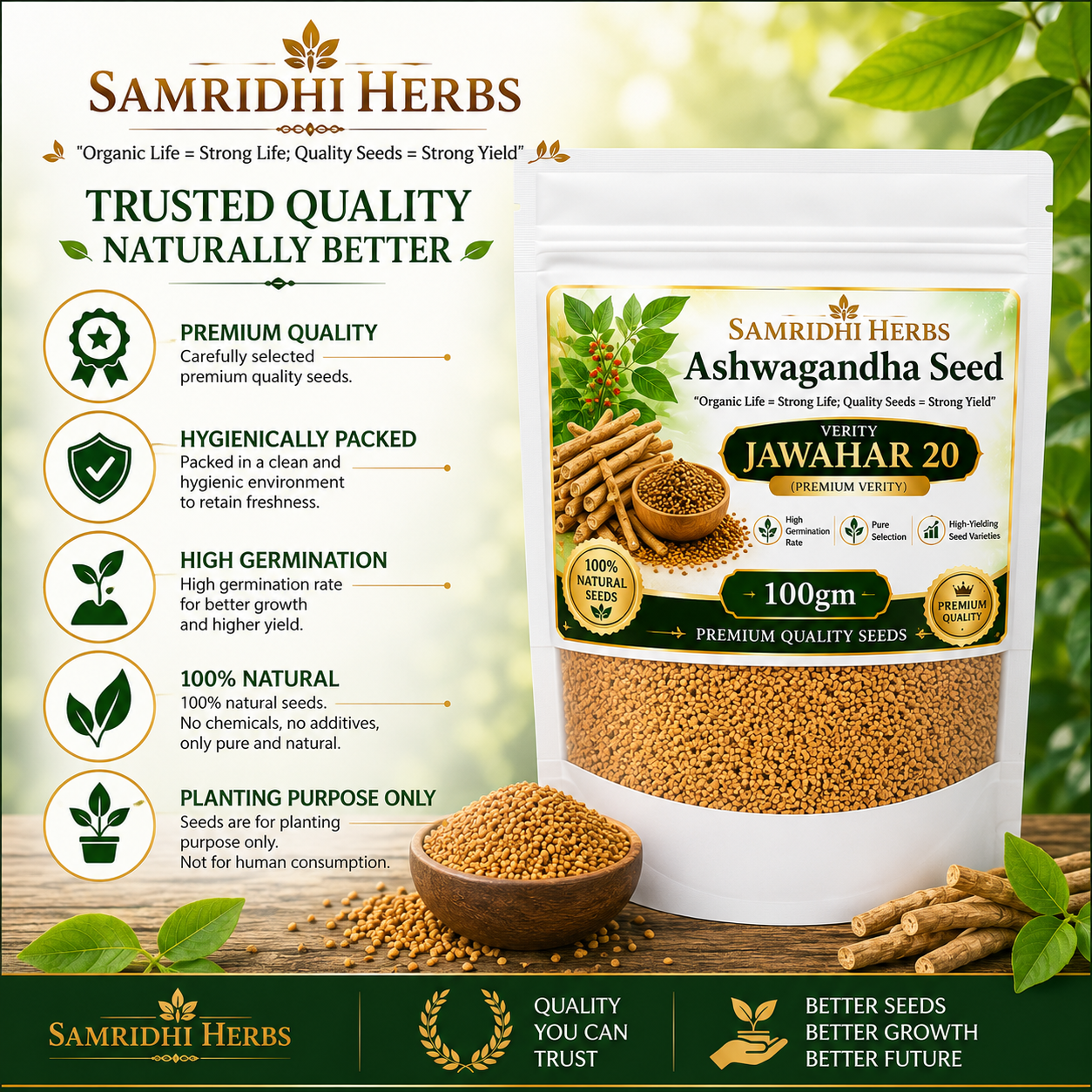 Ashwagandha Seeds Organic - Variety Jawahar