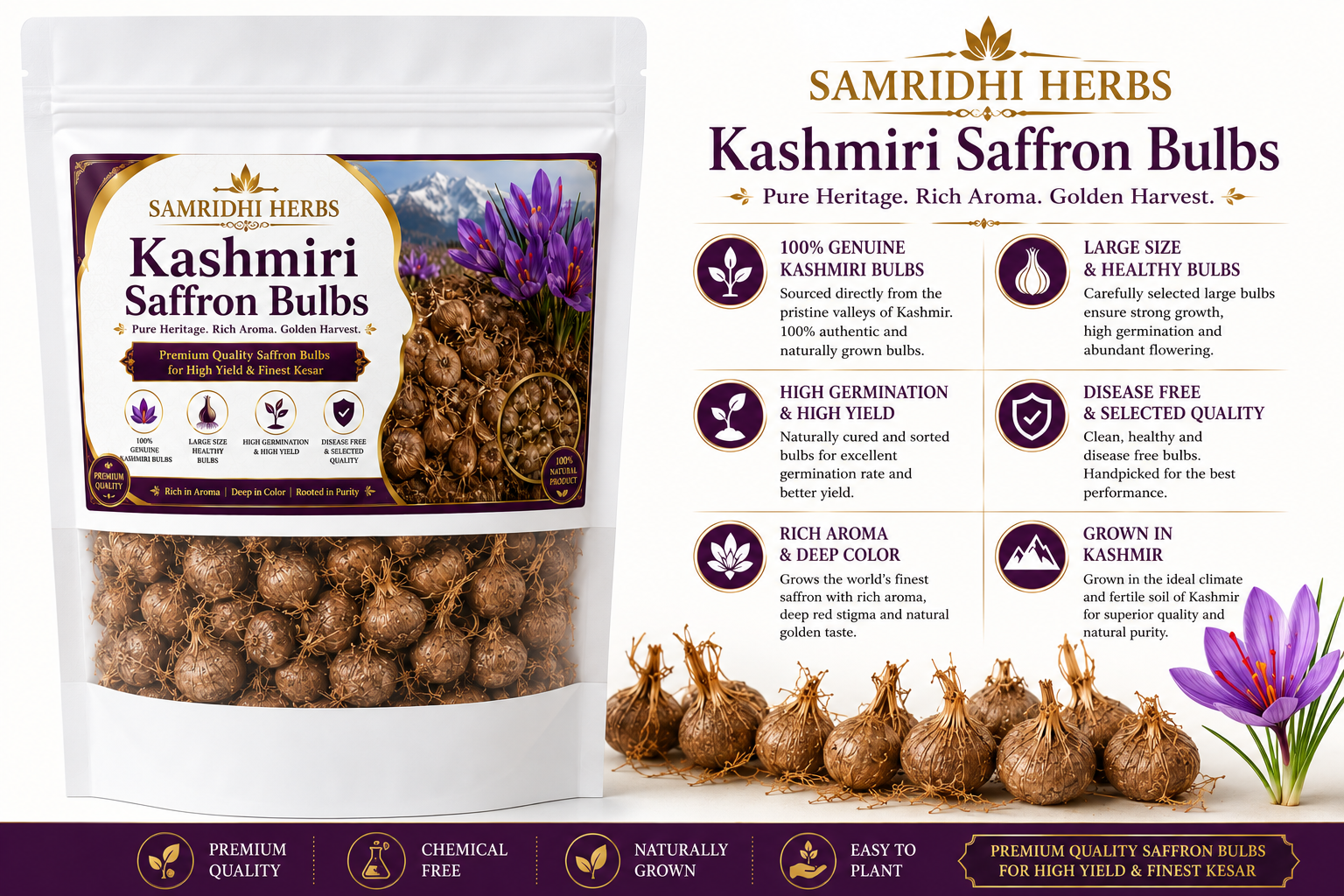 Kashmiri Saffron Bulbs Premium Infographic - Features & Benefits
