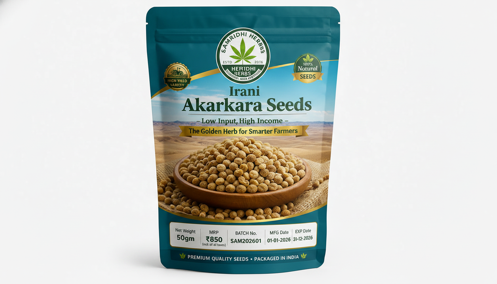 Irani Akarkara Seeds 50gm – High-Yield Medicinal Crop | The Golden Herb for Smarter Farmers