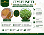 Ashwagandha Seeds Organic – SIM Pushti Variety | High Germination | Grow Your Own Wellness