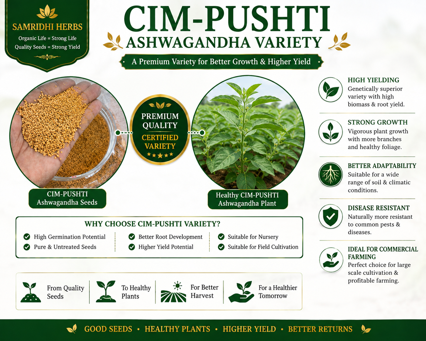 Ashwagandha Seeds Organic – SIM Pushti Variety | High Germination | Grow Your Own Wellness