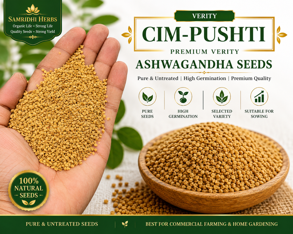 Ashwagandha Seeds Organic – SIM Pushti Variety | High Germination | Grow Your Own Wellness