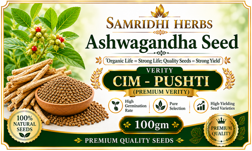 Samridhi Herbs Ashwagandha Seed CIM-PUSHTI premium variety 100g packet with high germination seeds.