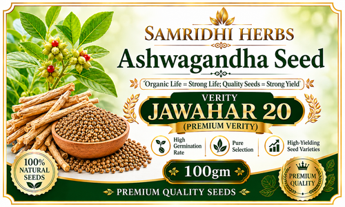 Samridhi Herbs Ashwagandha Seed Jawahar 20 premium variety 100g packet with high germination seeds.