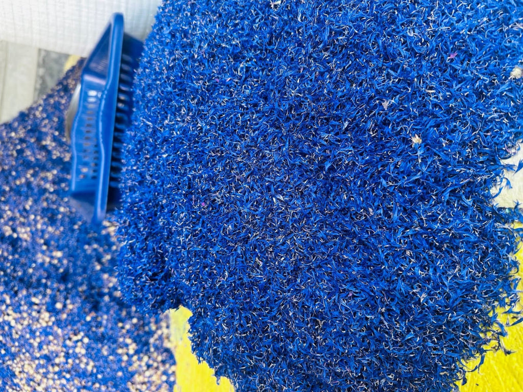 BlueCorn