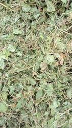 Brahmi Centella Dry Raw