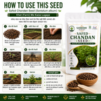 Safed Chandan Seed (White Sandalwood) 100g