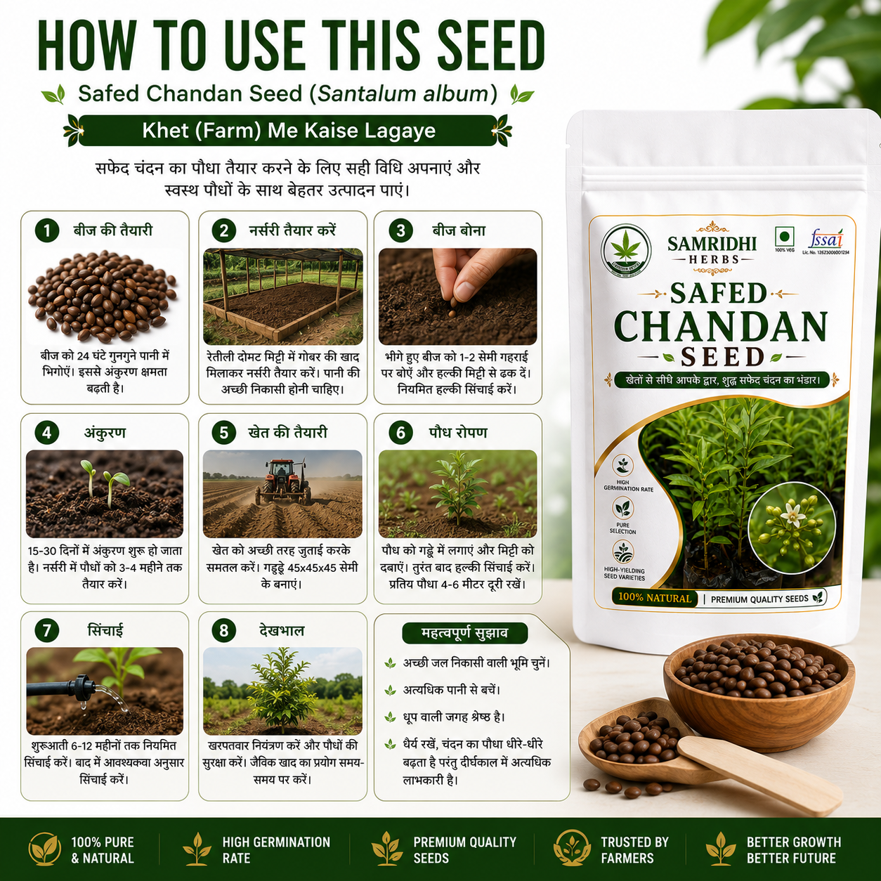 Safed Chandan Seed (White Sandalwood) 100g