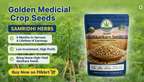 Irani Akarkara Seeds | High Yield Medicinal Crop | Ayurvedic Farming
