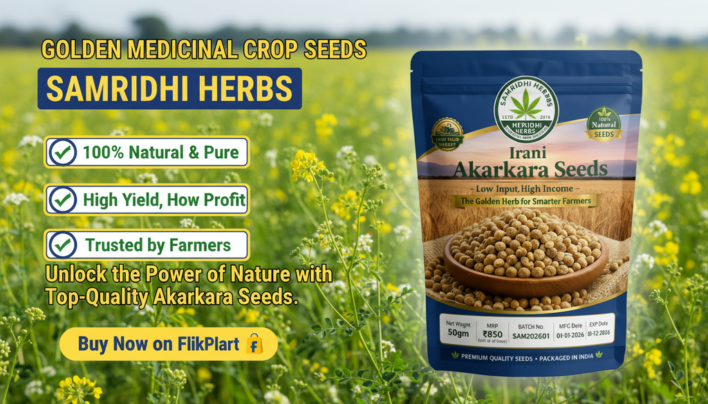 Irani Akarkara Seeds 50gm – High-Yield Medicinal Crop | The Golden Herb for Smarter Farmers