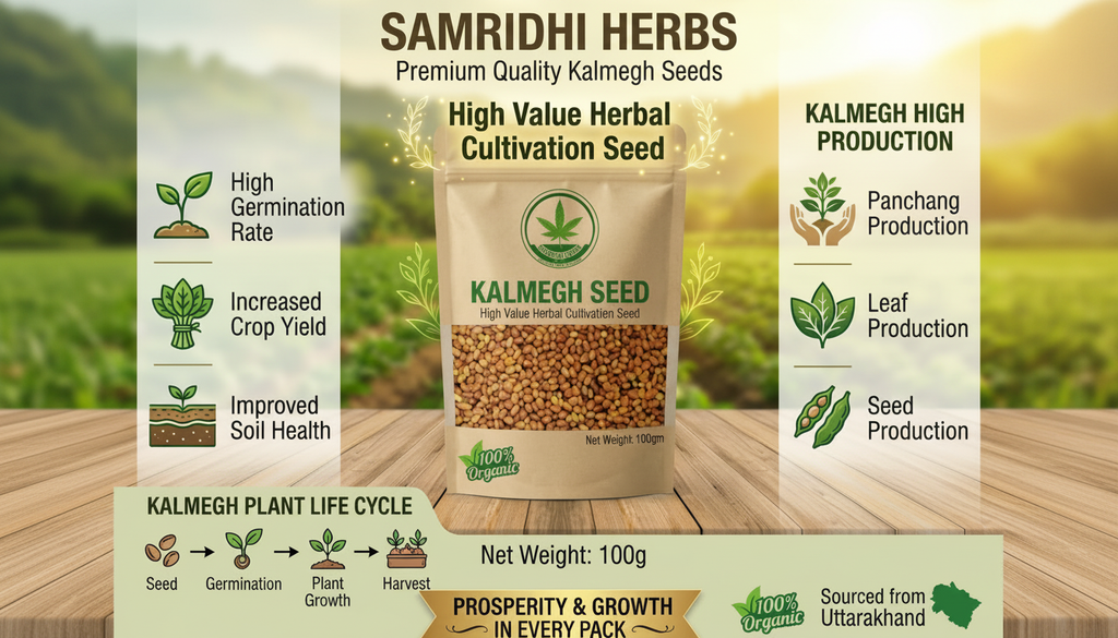 Organic Kalmegh Seeds (Andrographis Paniculata) – The King of Bitters | Grow Your Own Ayurvedic Herb