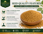 Ashwagandha Seeds Organic – SIM Pushti Variety | High Germination | Grow Your Own Wellness