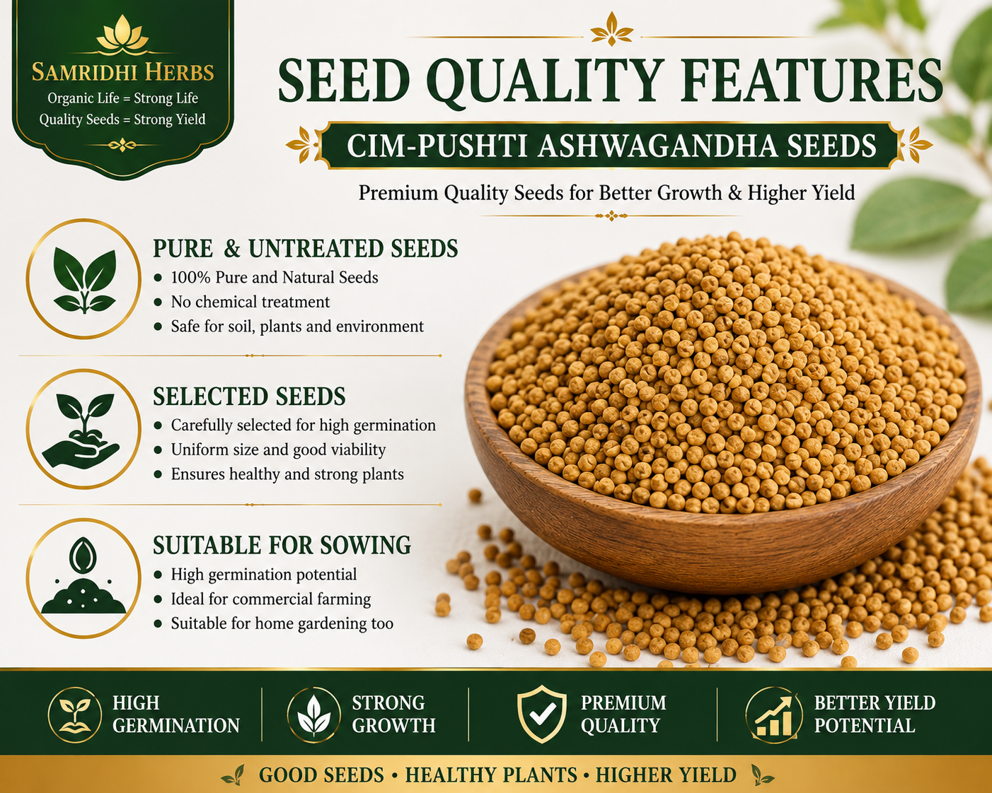 Ashwagandha Seeds Organic – SIM Pushti Variety | High Germination | Grow Your Own Wellness