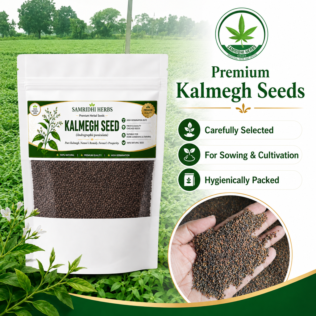 Organic Kalmegh Seeds (Andrographis Paniculata)