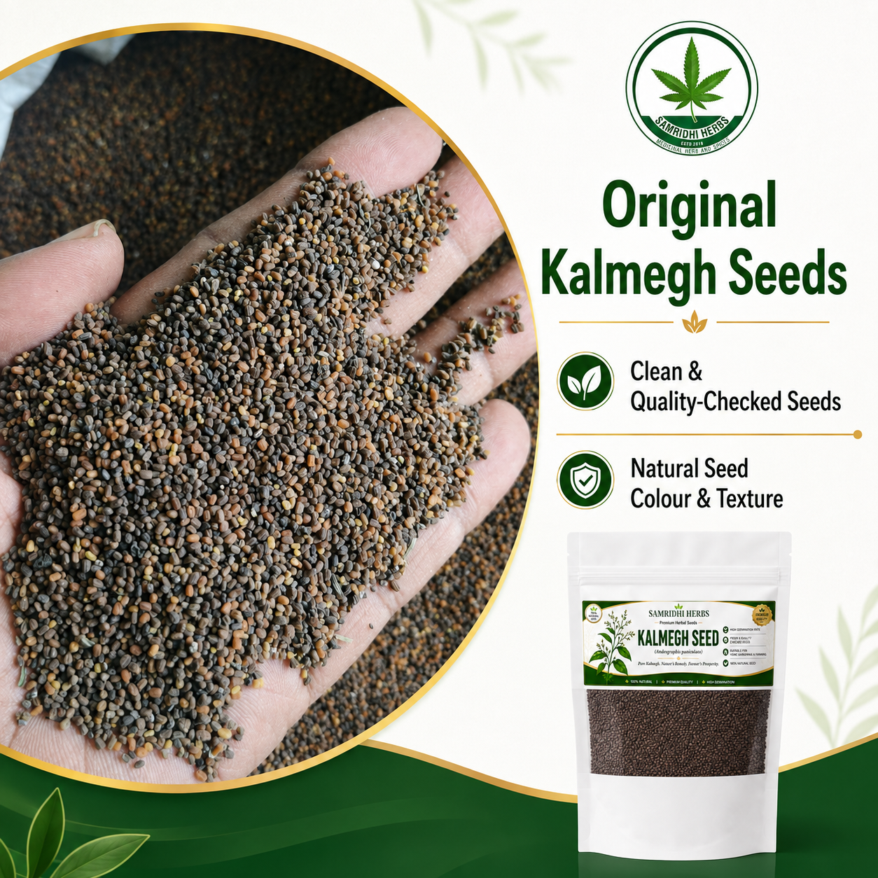 Organic Kalmegh Seeds (Andrographis Paniculata)