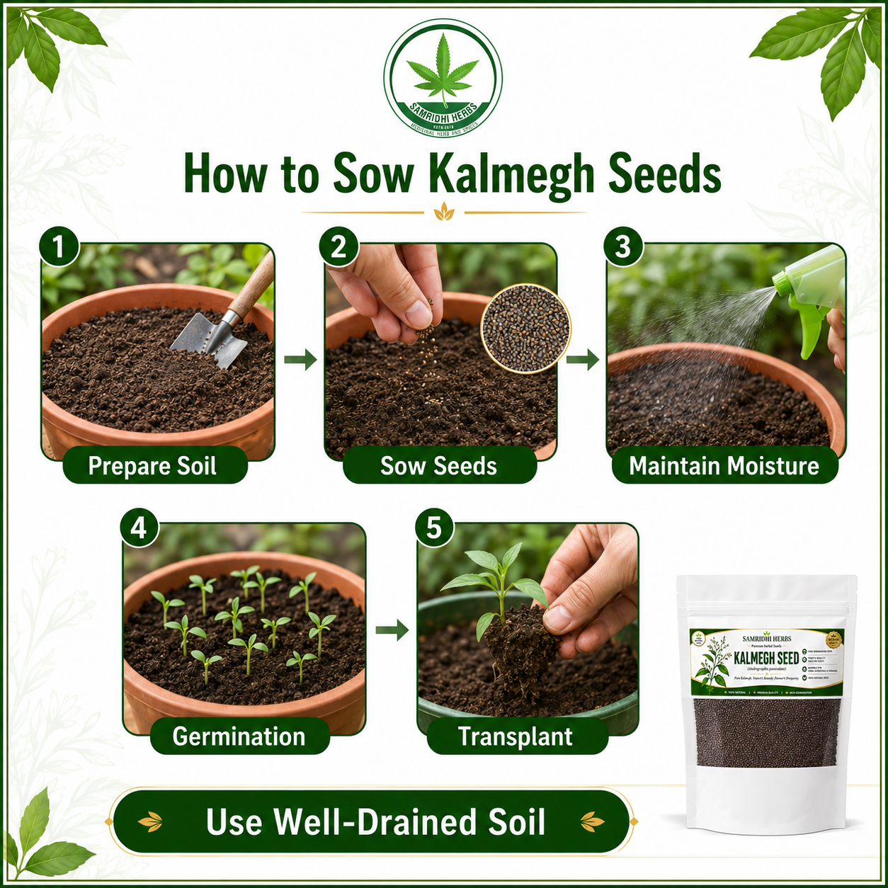 Organic Kalmegh Seeds (Andrographis Paniculata)