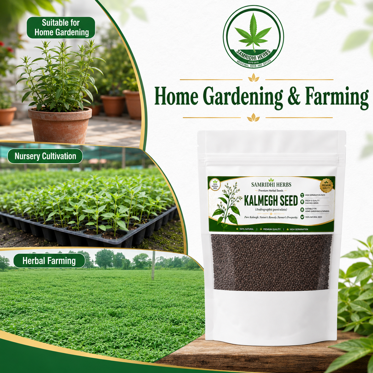 Organic Kalmegh Seeds (Andrographis Paniculata)