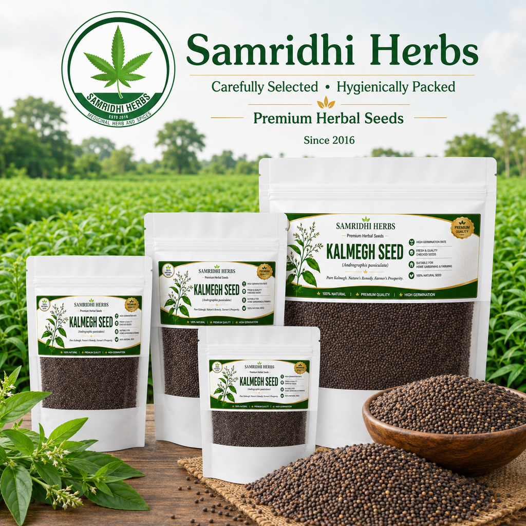 Organic Kalmegh Seeds (Andrographis Paniculata)