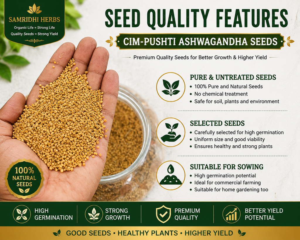 Ashwagandha Seeds Organic – SIM Pushti Variety | High Germination | Grow Your Own Wellness