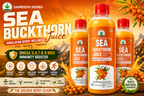 Samridhi Herbs Sea Buckthorn Juice 500ml with Himalayan Sea Buckthorn berries for immunity and wellness.