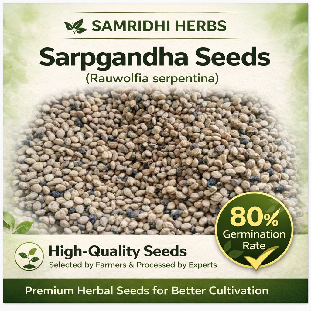 Sarpgandha Seeds (Rauvolfia Serpentina) 100gm – Rare Ayurvedic Botanical | Grow at Home