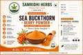 Sea Buckthorn Berry Powder – Superfood for Skin, Immunity & Vitality