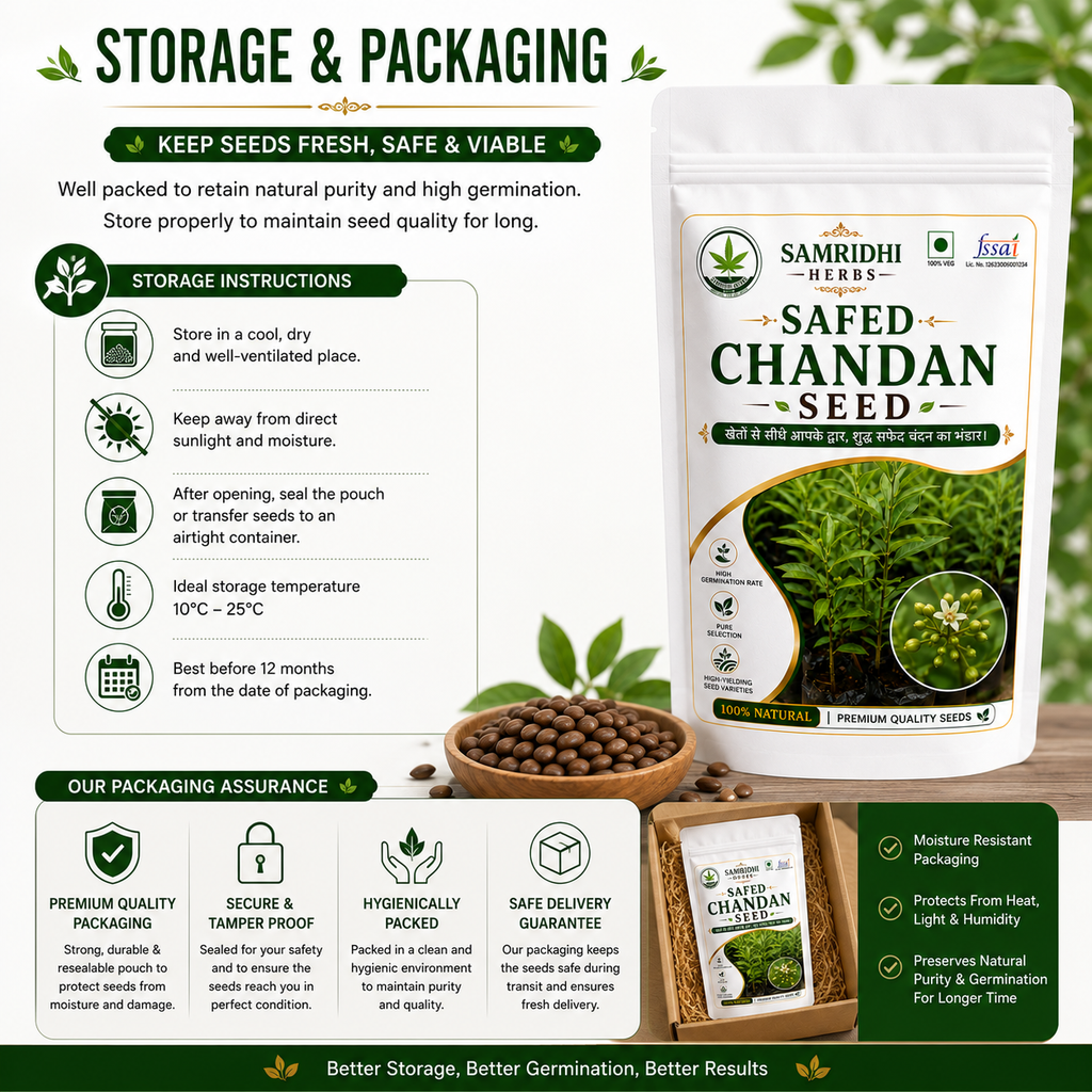 Safed Chandan Seed (White Sandalwood) 100g