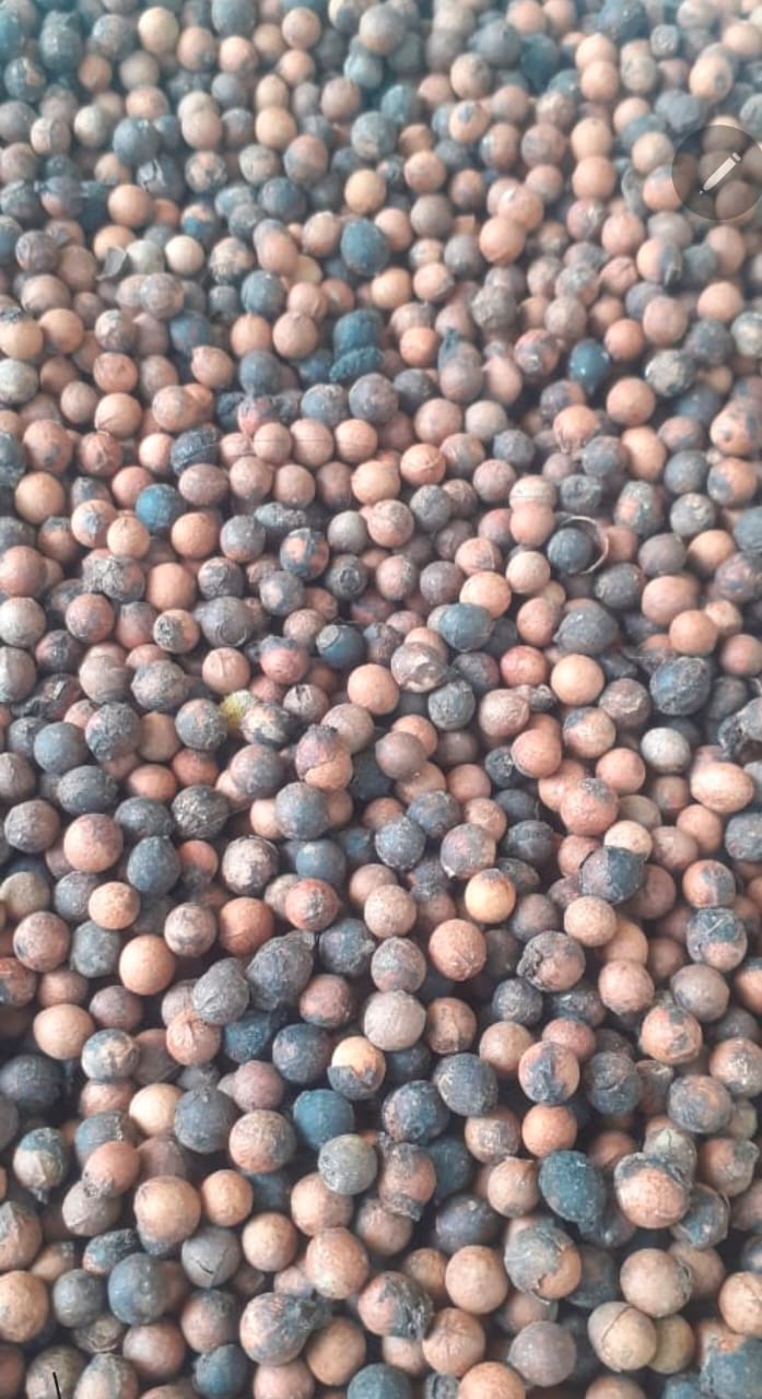 Safed Chandan Seeds - Premium Quality 100g