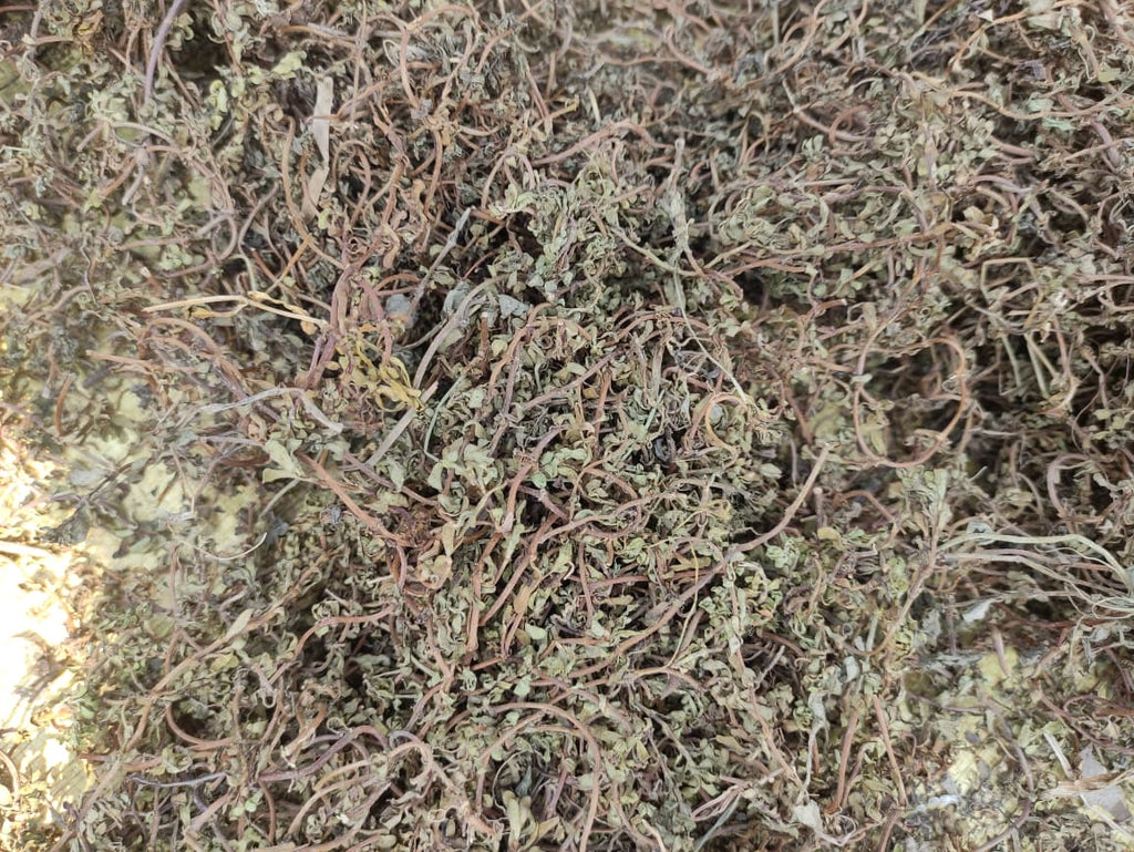 Brahmi Dried (Bacopa Monnieri) – Ayurvedic Herb | Pure & Natural