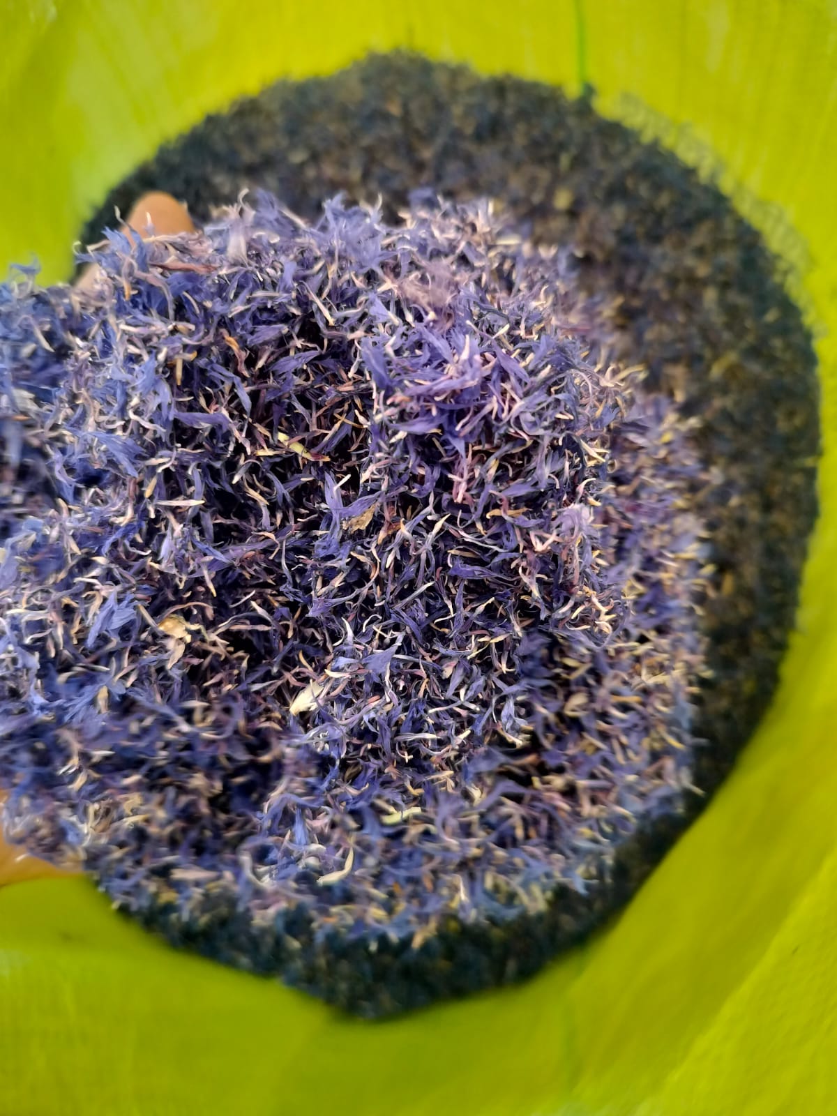 Blue Corn Flower (Neelapushpa) – Farm Fresh Dried Petals