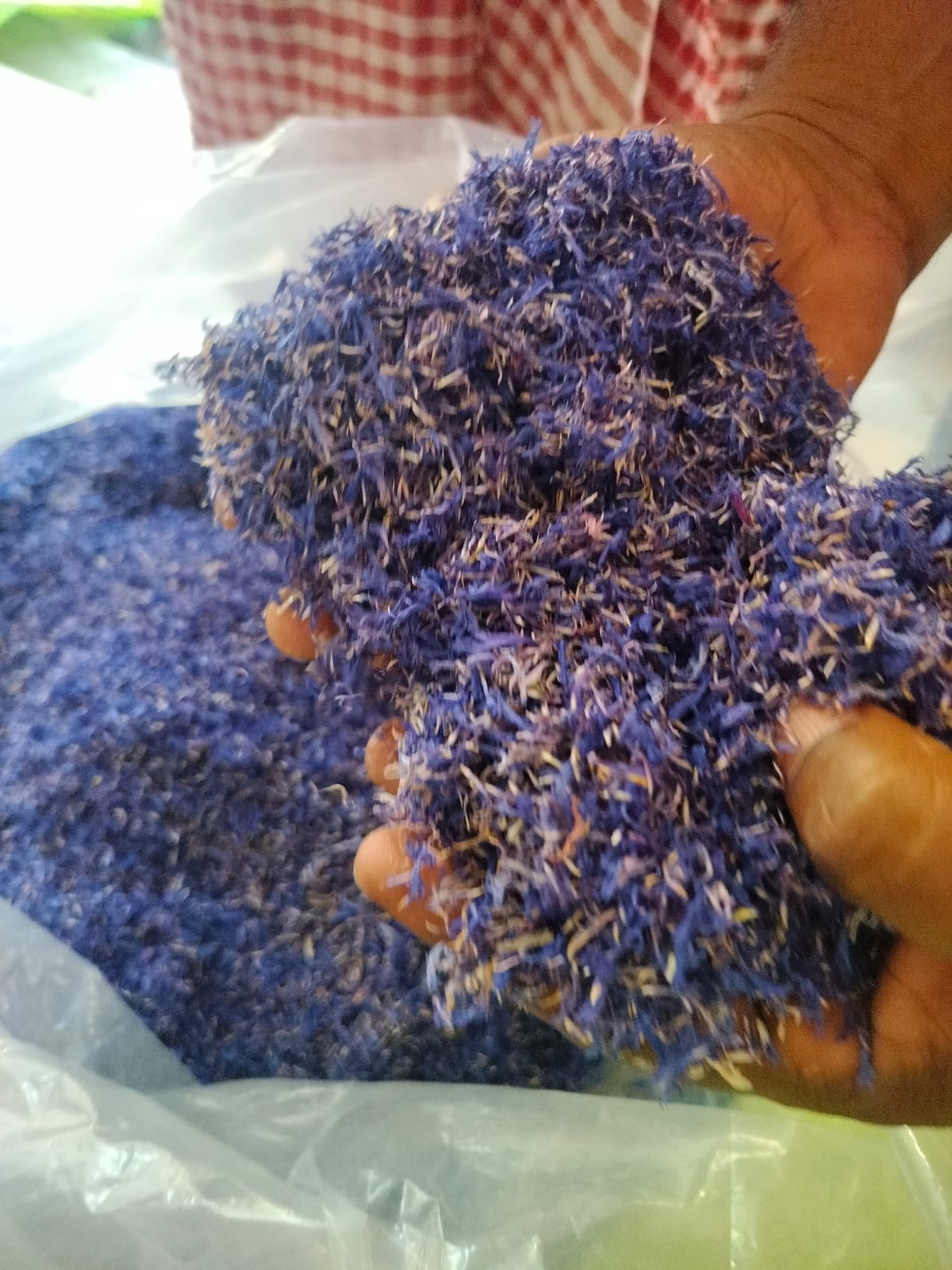 Blue Corn Flower (Neelapushpa) – Farm Fresh Dried Petals
