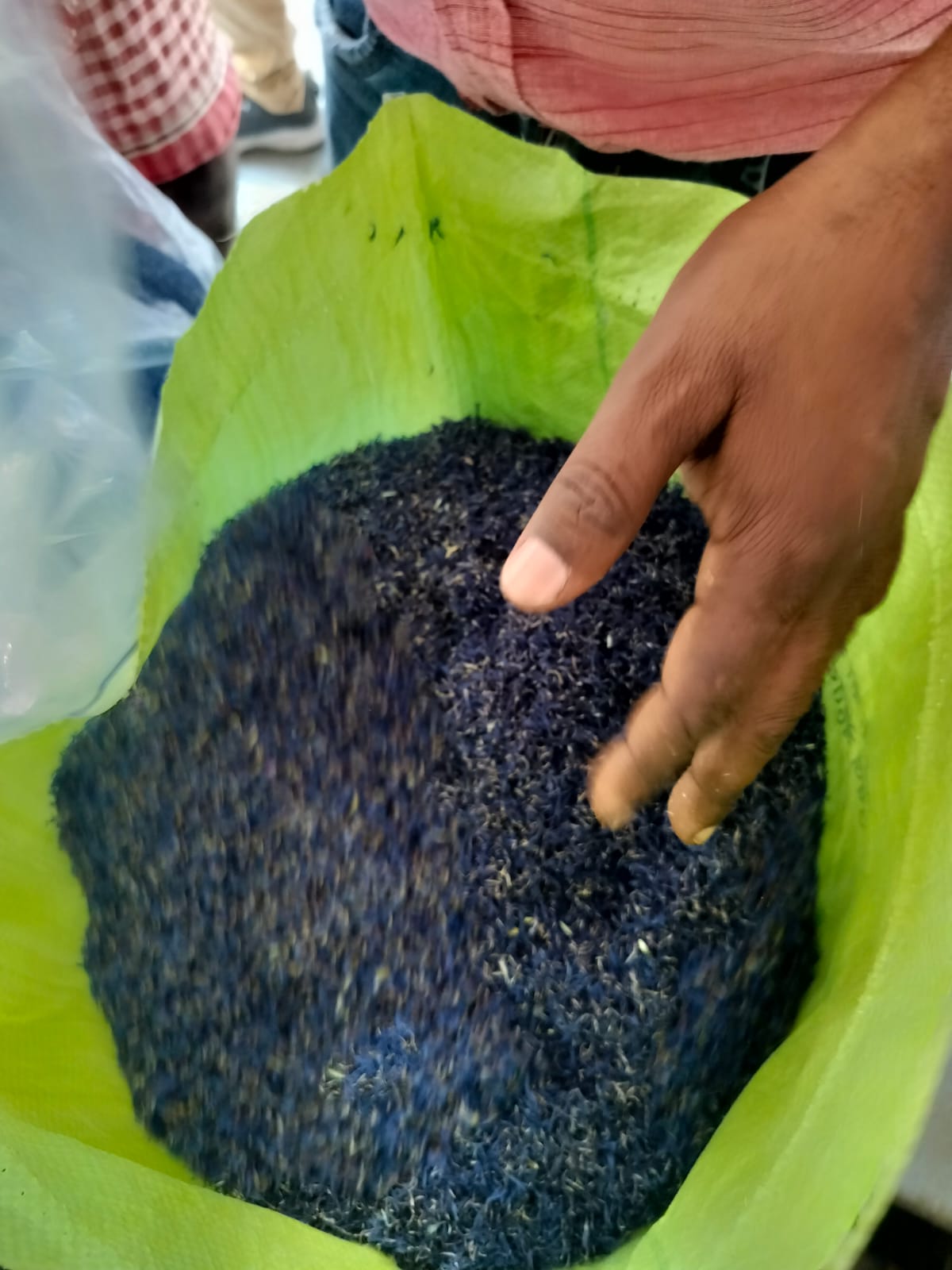 Blue Corn Flower (Neelapushpa) – Farm Fresh Dried Petals