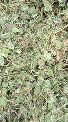 Brahmi Centella Dry Raw
