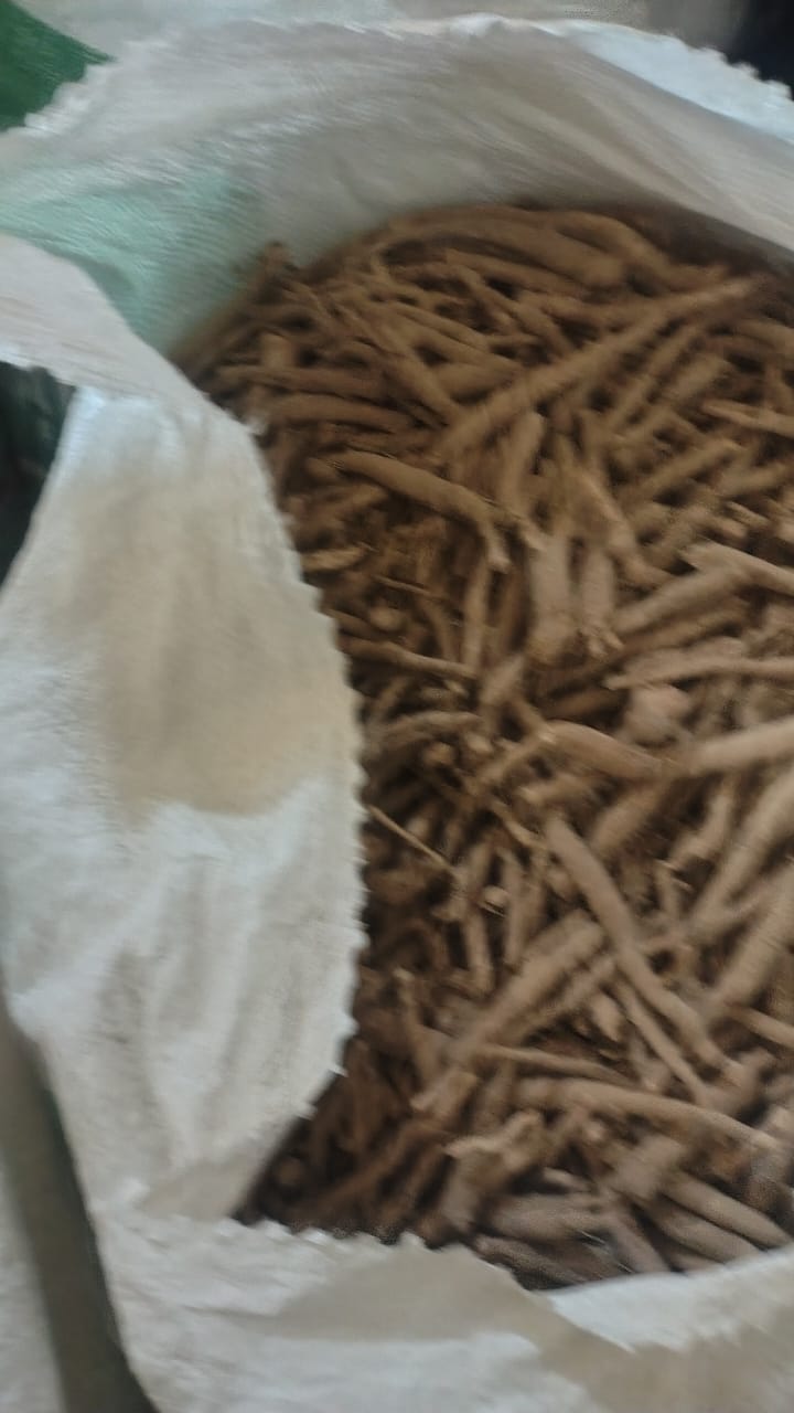 Dried Ashwagandha roots (Withania somnifera) in bulk for herbal and Ayurvedic use.