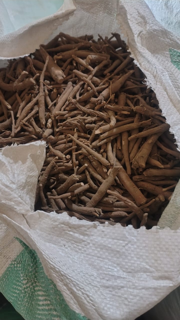 Dried Ashwagandha roots (Withania somnifera) in bulk for herbal and Ayurvedic use.