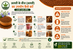 Samridhi Flax Seeds (Alsi Beej) Natural Omega-3 Superfood