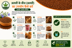 Samridhi Flax Seeds (Alsi Beej) Natural Omega-3 Superfood