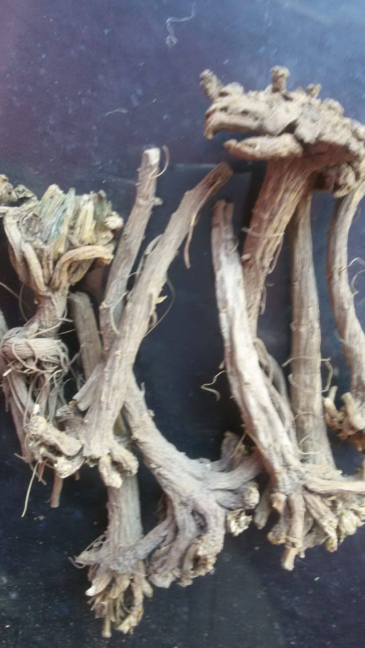 Deshi Akarkara dried roots