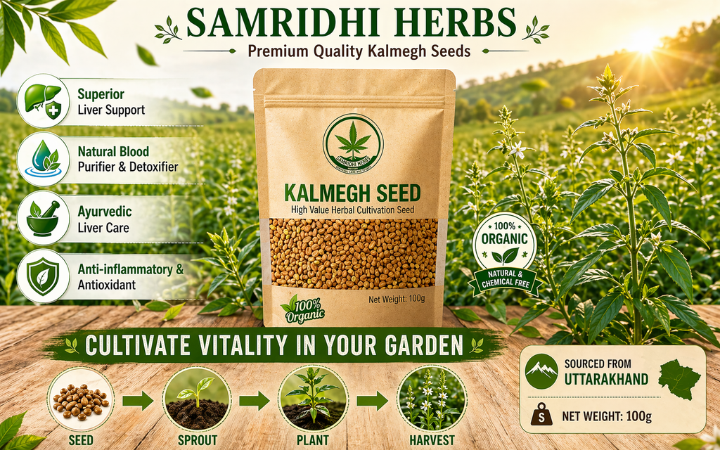 Organic Kalmegh Seeds (Andrographis Paniculata) – The King of Bitters | Grow Your Own Ayurvedic Herb