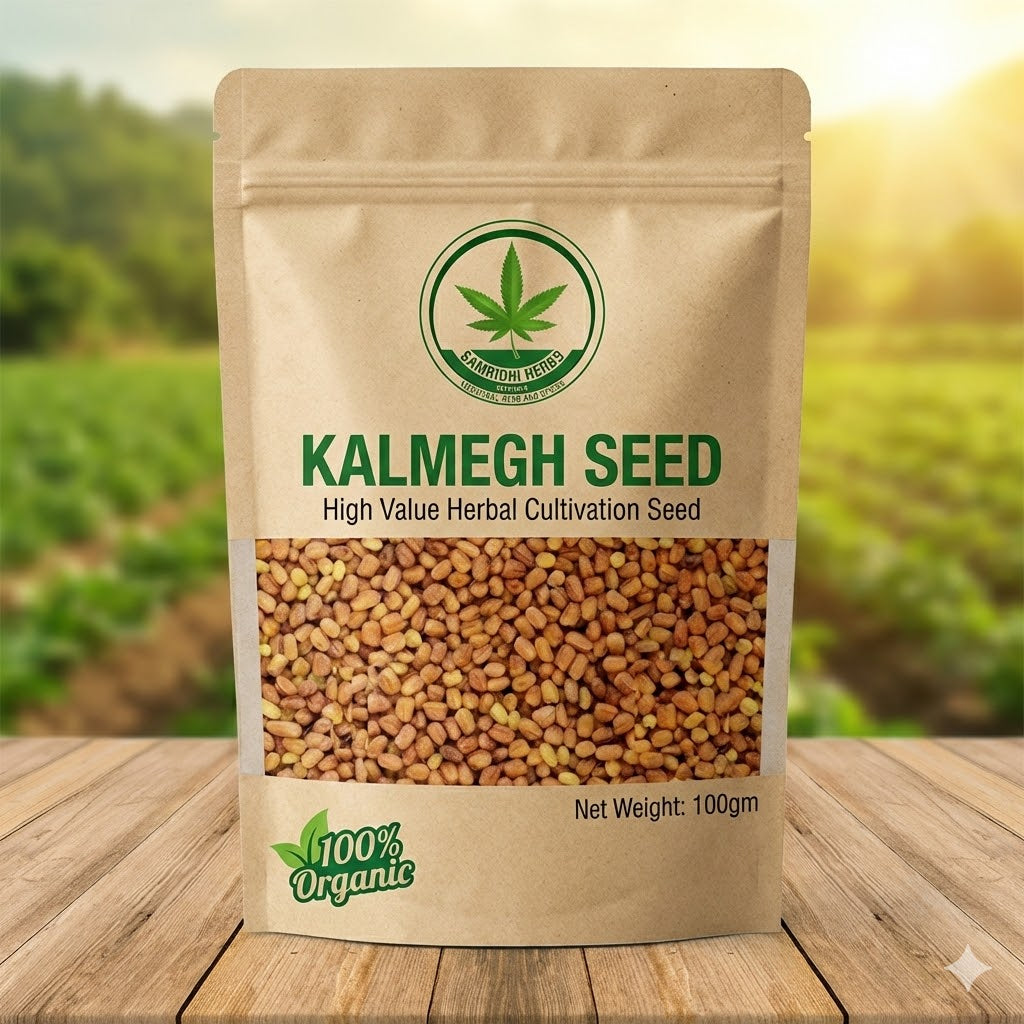 Organic Kalmegh Seeds (Andrographis Paniculata) – The King of Bitters | Grow Your Own Ayurvedic Herb