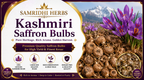 Kashmiri Saffron Bulbs Label - Pure Heritage Rich Aroma Golden Harvest