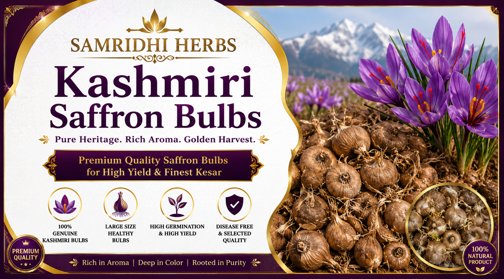 Kashmiri Saffron Bulbs Label - Pure Heritage Rich Aroma Golden Harvest