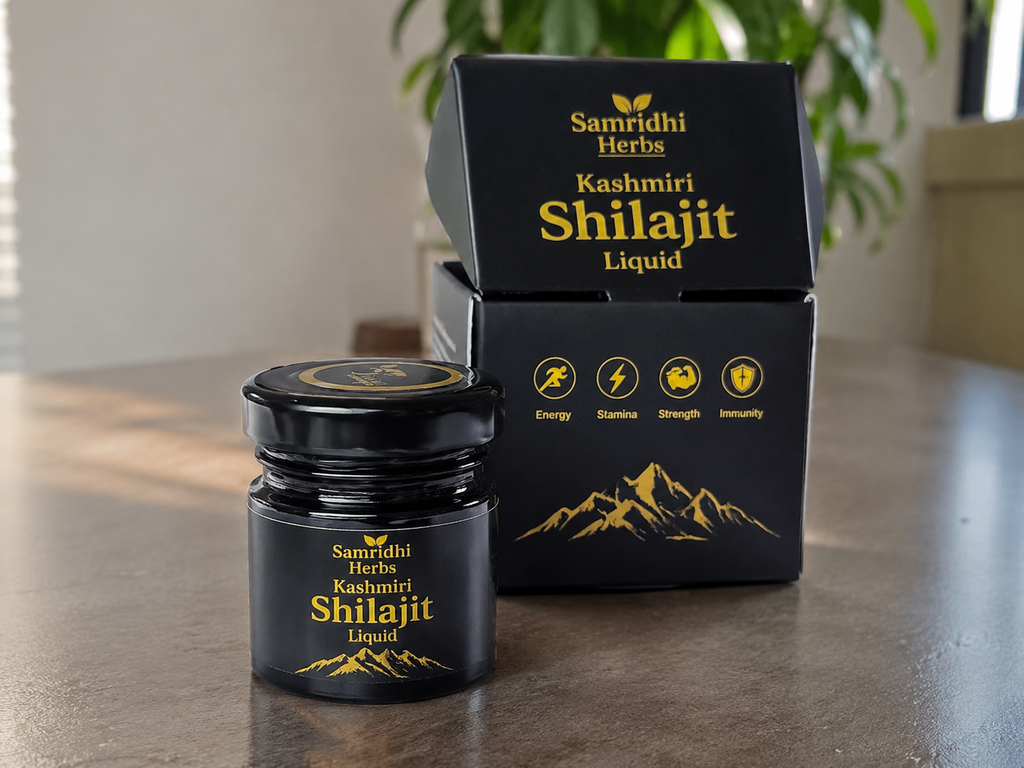 Kashmiri Natural Shilajit Liquid (20gm)