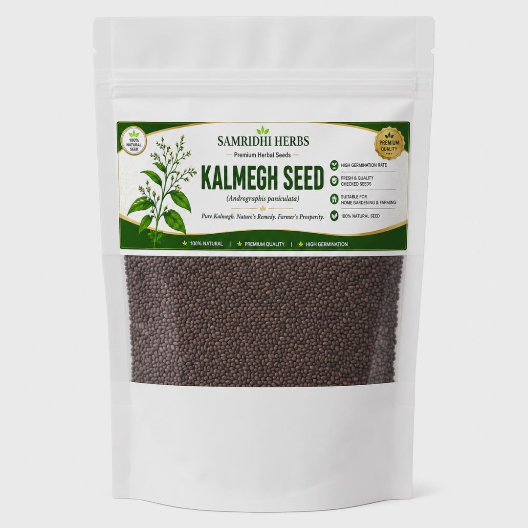 Organic Kalmegh Seeds (Andrographis Paniculata)