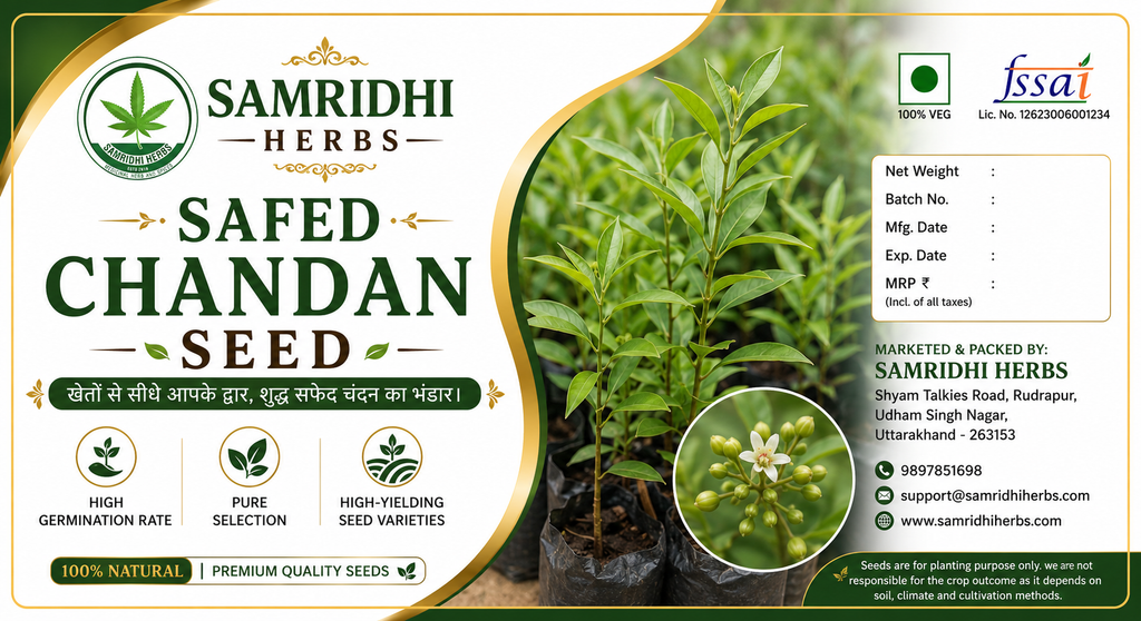 Safed Chandan Seed (White Sandalwood) 100g