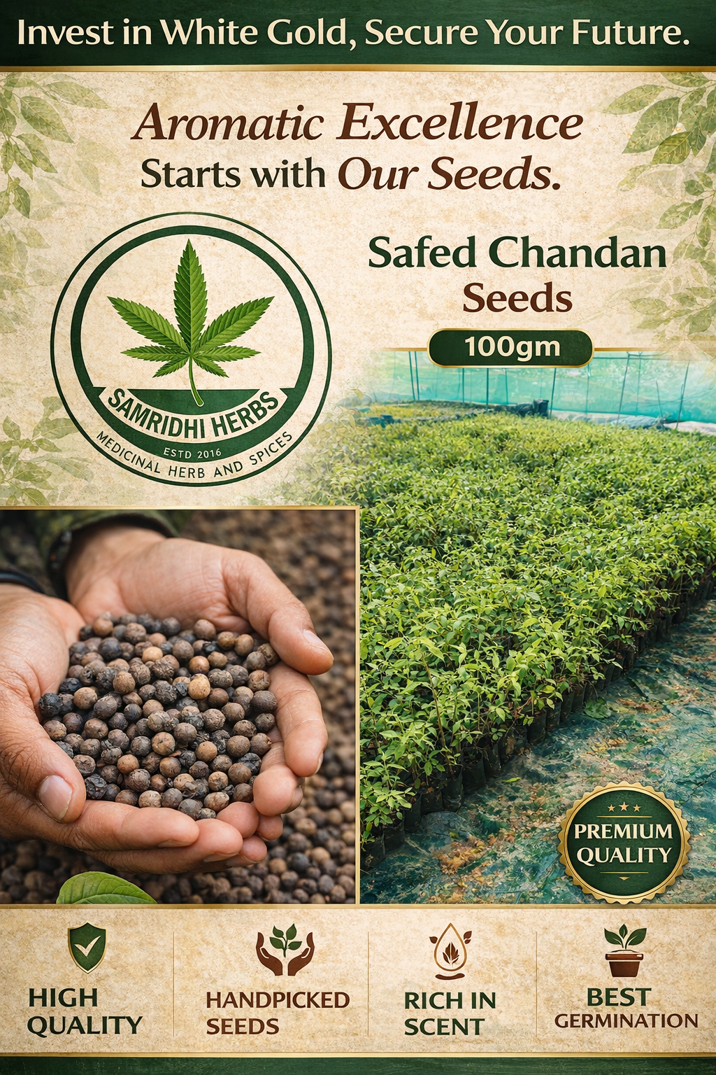 Safed Chandan Seeds - Premium Quality 100g