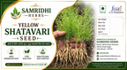 Samridhi Herbs Yellow Shatavar Seed  premium variety 100g packet with high germination seeds.