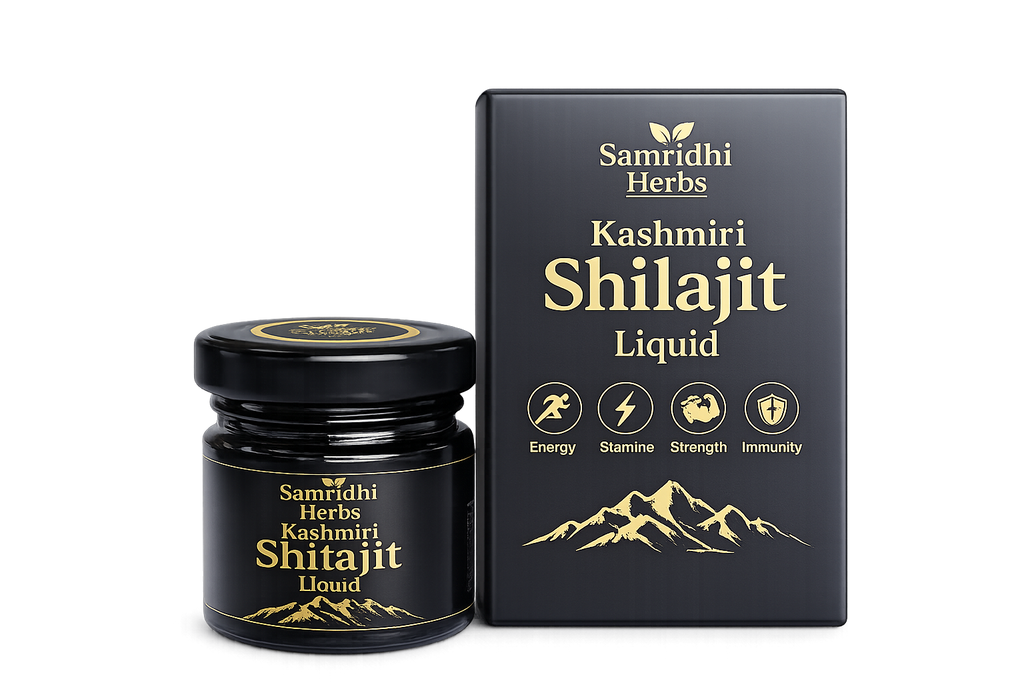 Kashmiri Natural Shilajit Liquid (20gm)